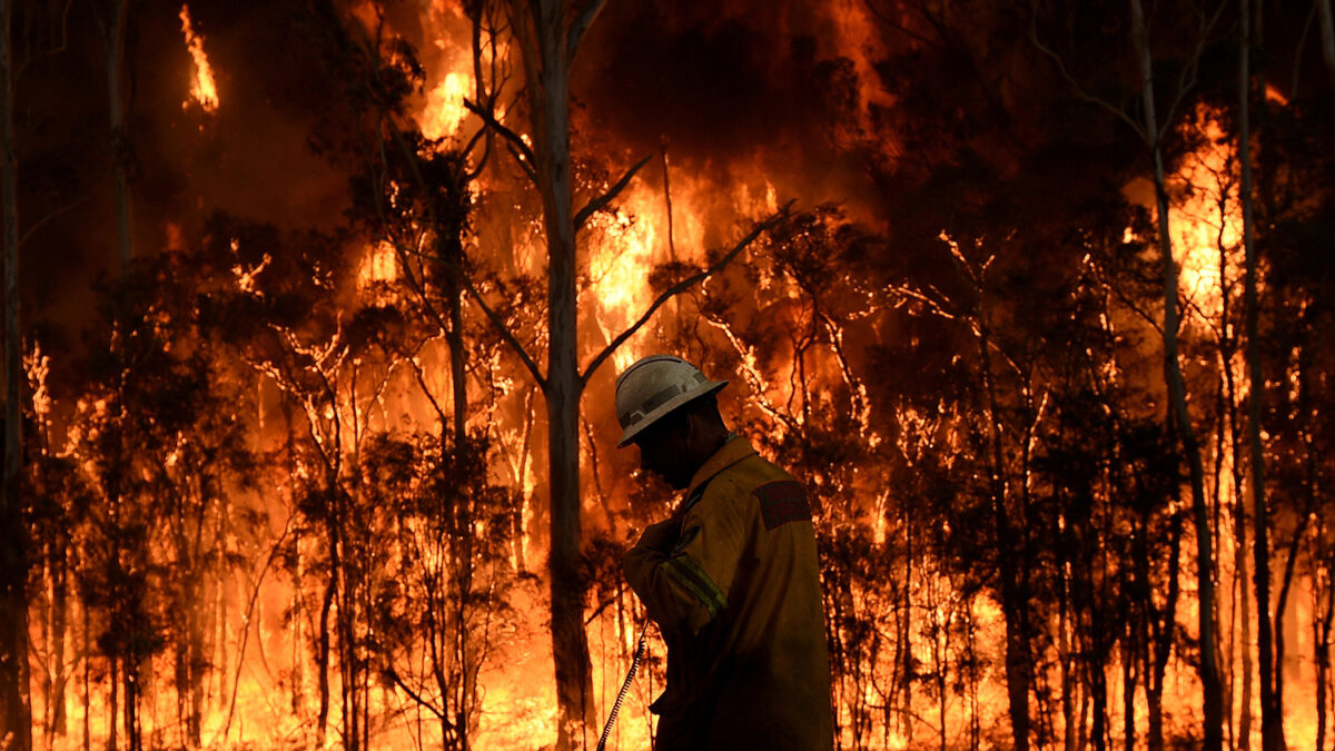 Más de 50 incendios forestales arrasan el Este de Australia