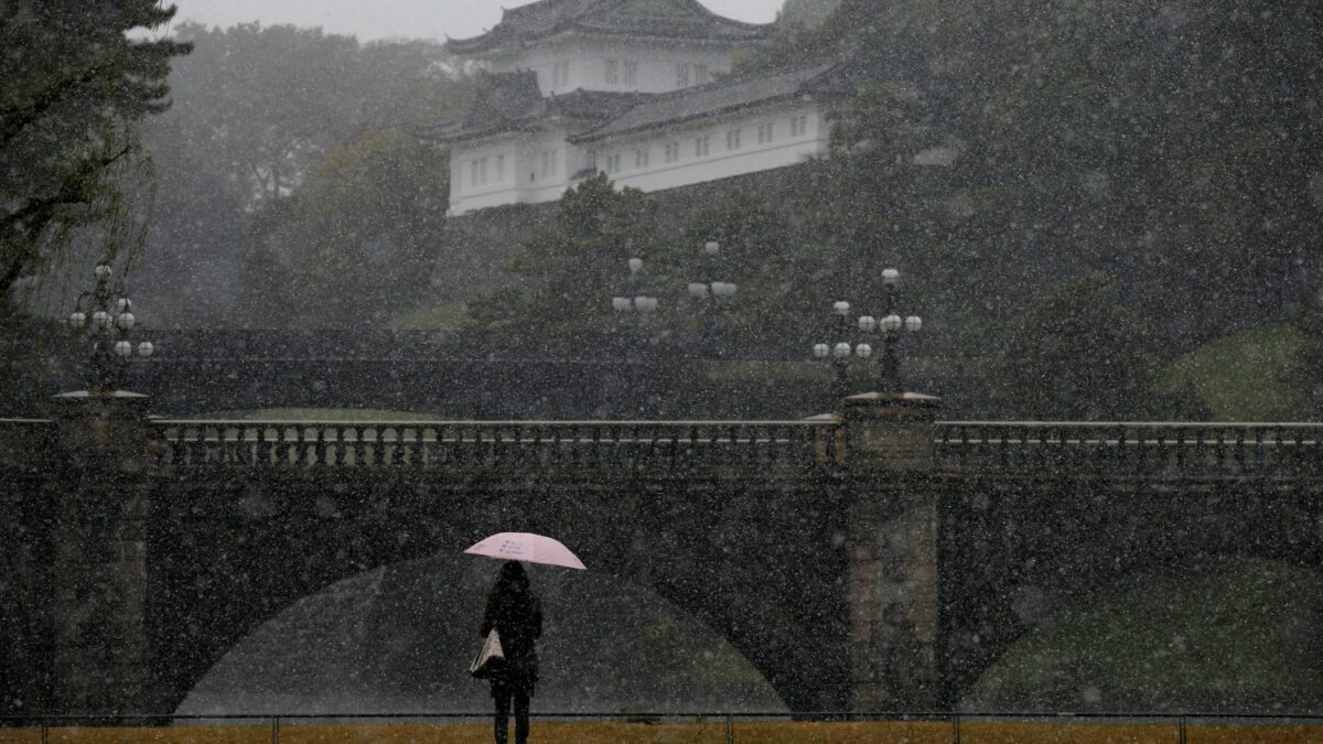 Tokio experimenta su primera nevada de noviembre en 54 años