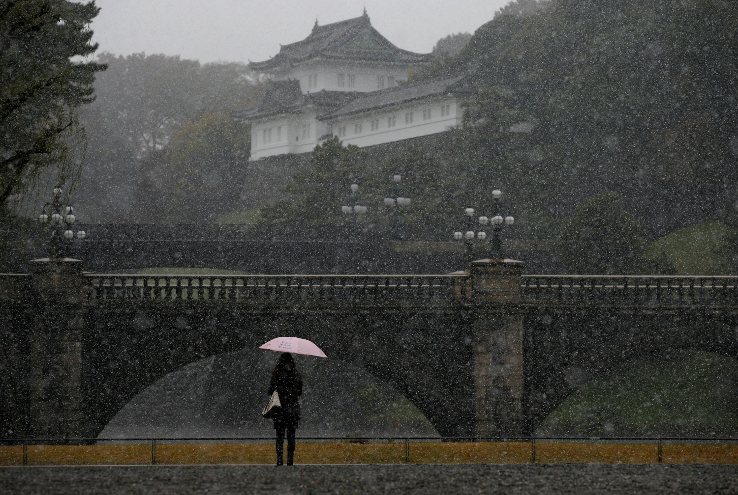 Tokio experimenta su primera nevada de noviembre en 54 años
