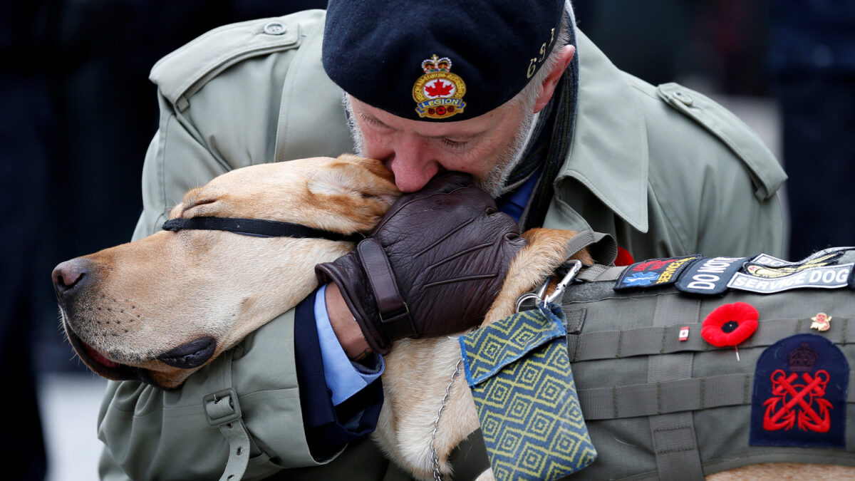 Los perros salvadores de veteranos de guerra