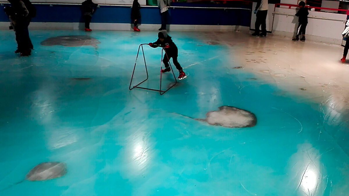 Ira en Japón debido a la creación de una pista de patinaje con peces congelados