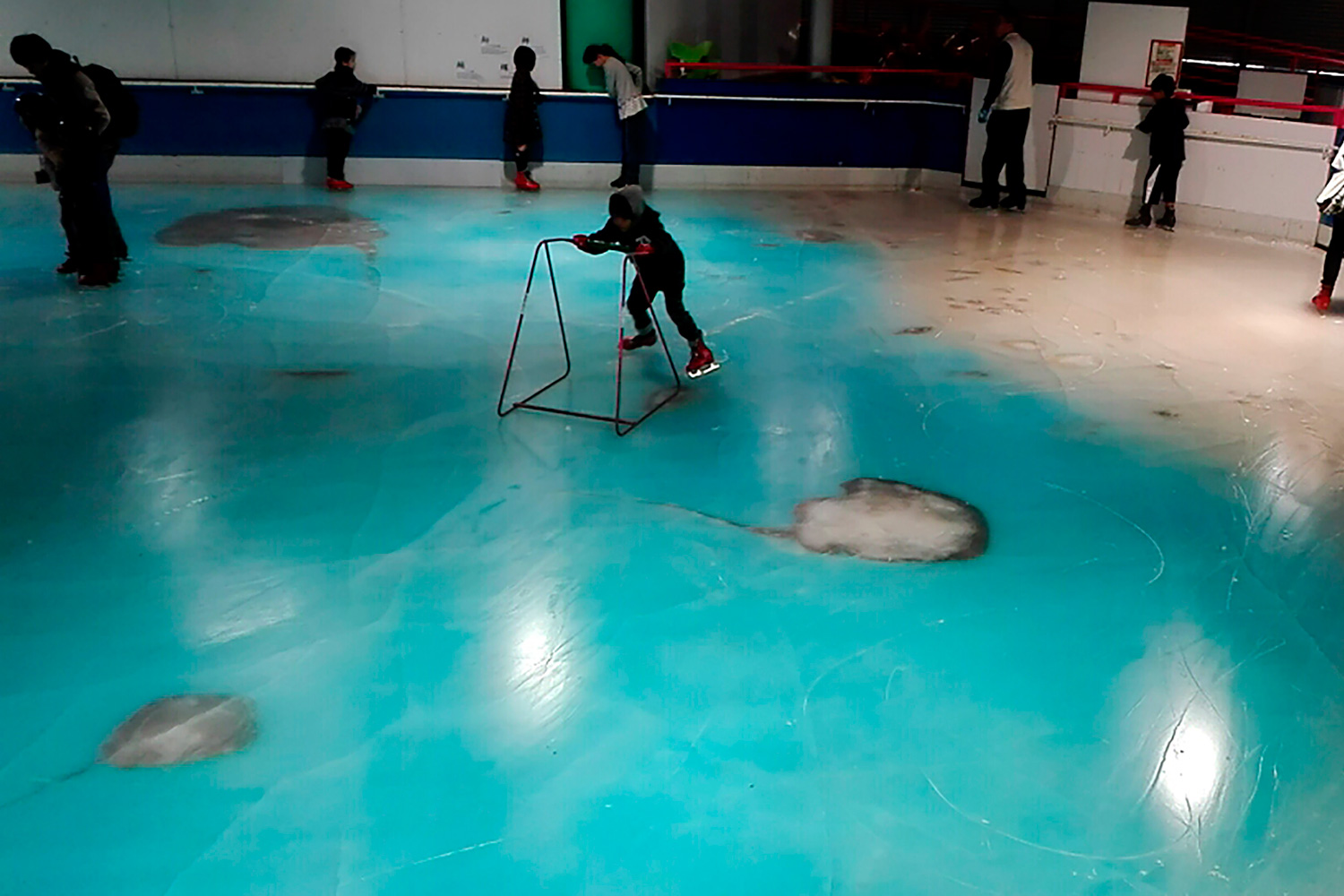 Ira en Japón debido a la creación de una pista de patinaje con peces congelados