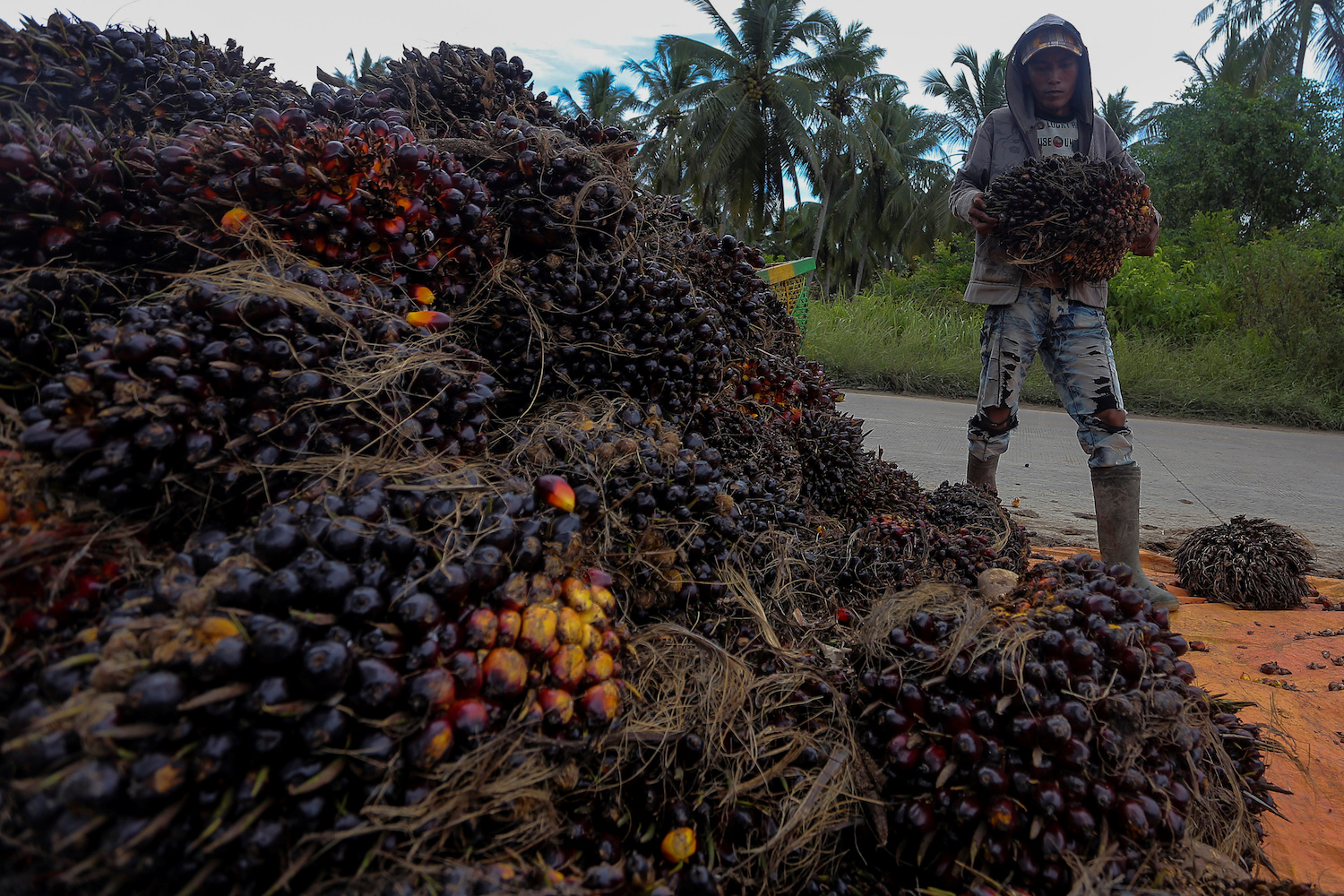 Empresas internacionales venden sus productos con aceite de palma producido por mano infantil