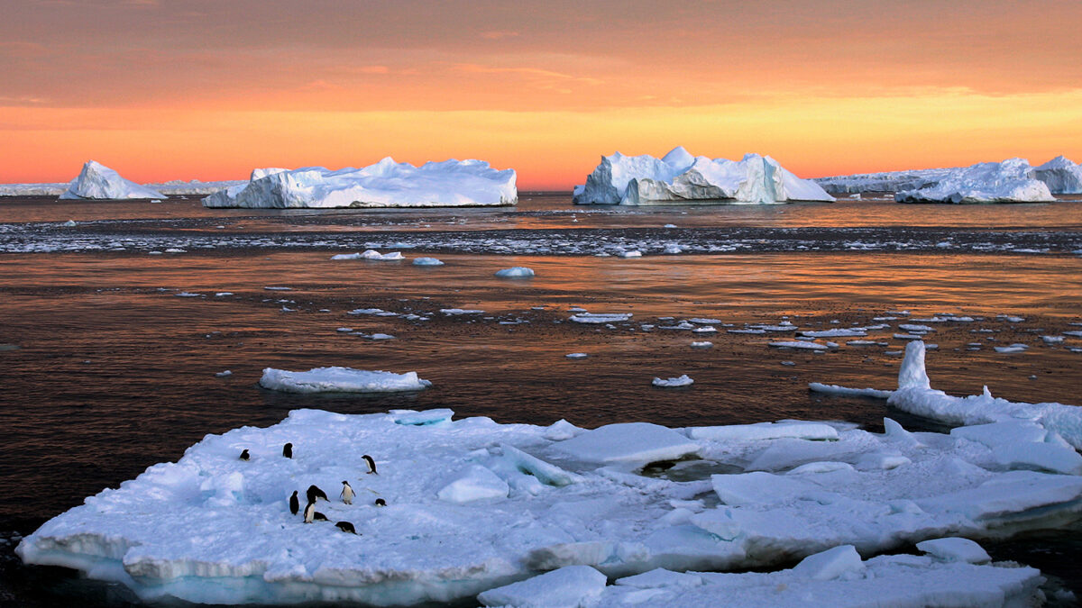 El planeta pierde una superficie de hielo comparable a la India