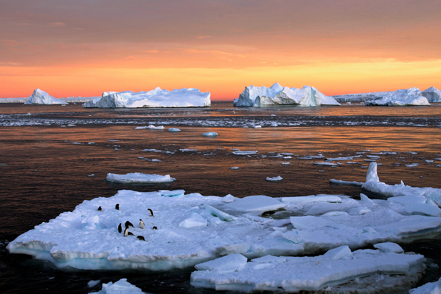 El planeta pierde una superficie de hielo comparable a la India