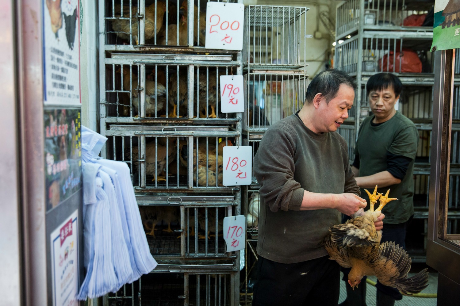 Confirmado un segundo caso humano de gripe aviar en Hong Kong