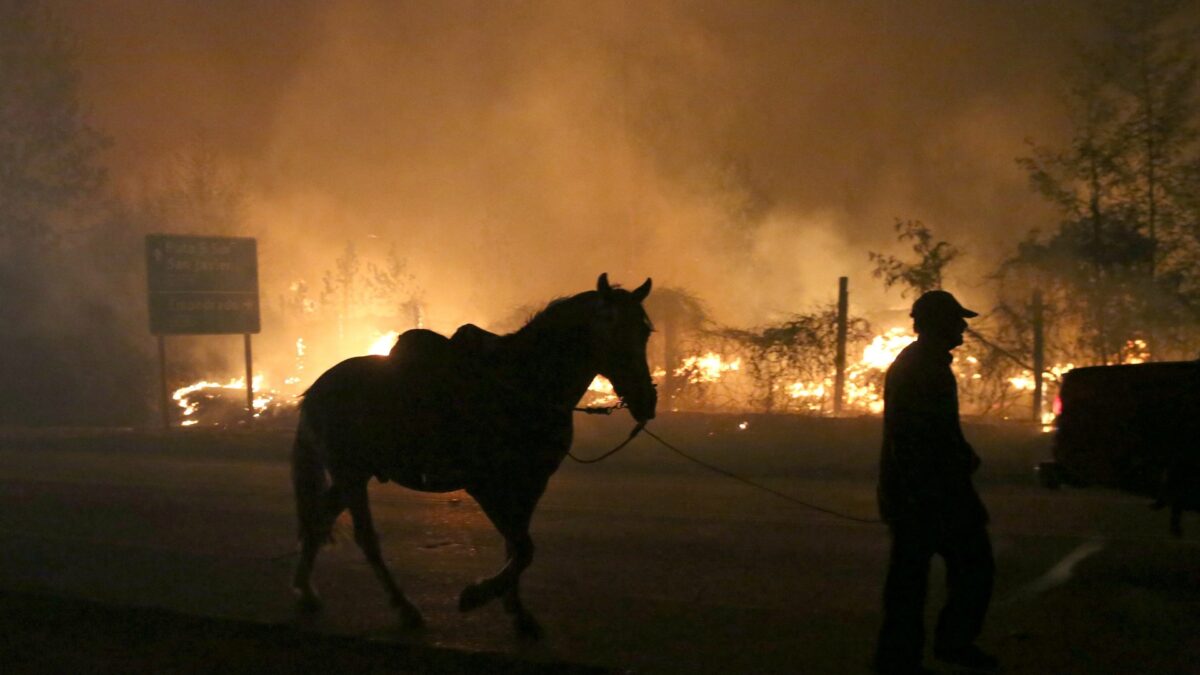 El fuego avanza sin control en Chile dejando a su paso siete muertos y miles de evacuados