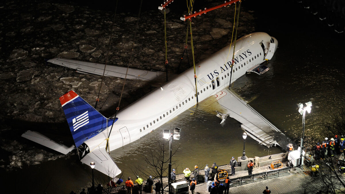 70.000 aves sacrificadas en Nueva York para despejar el camino a los aviones