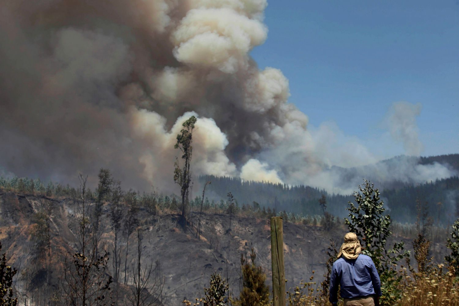Evacúan a unas 4.000 personas por incendio forestal en Chile