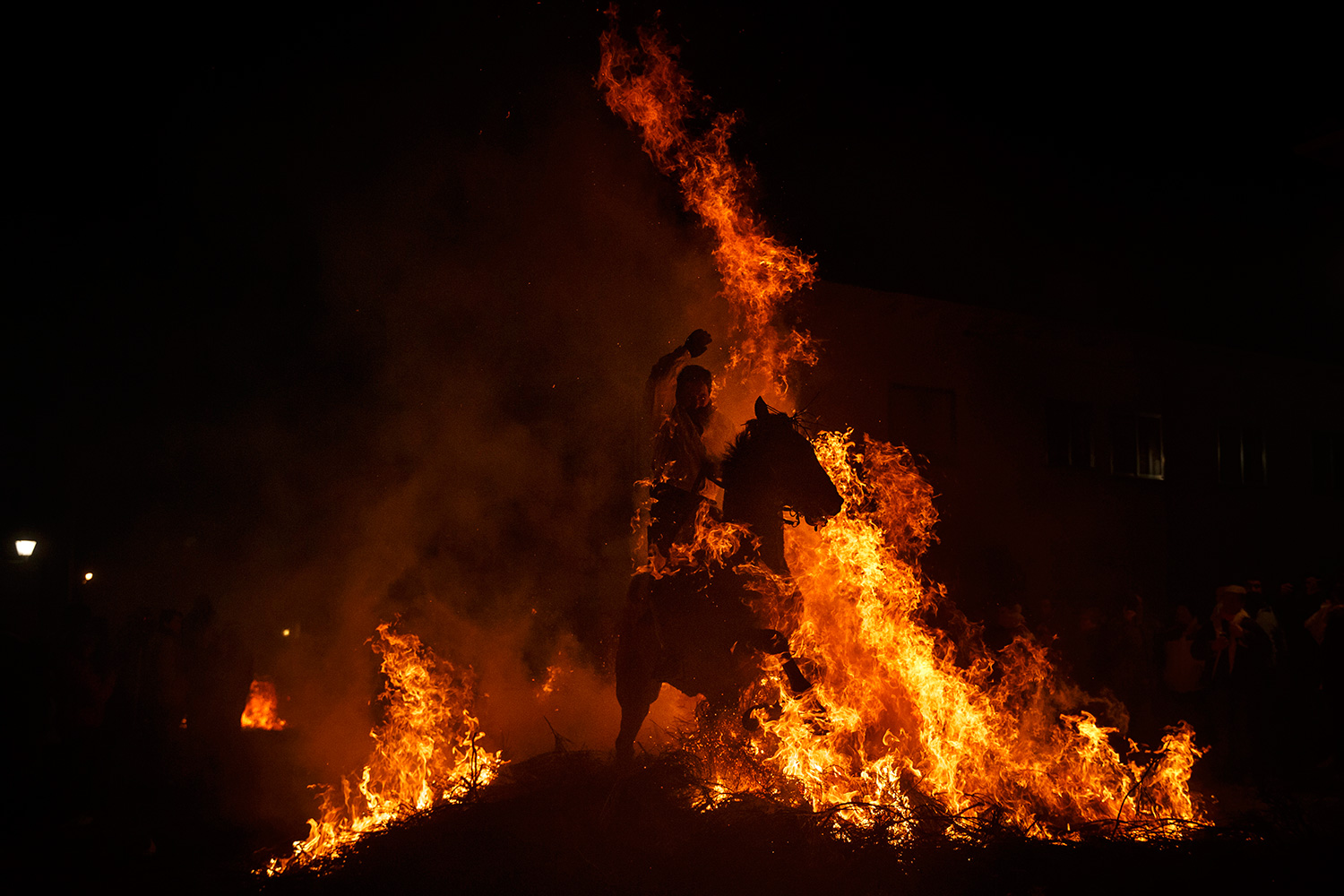 El polémico ritual de las Luminarias sigue obligando a los caballos a trotar entre las llamas