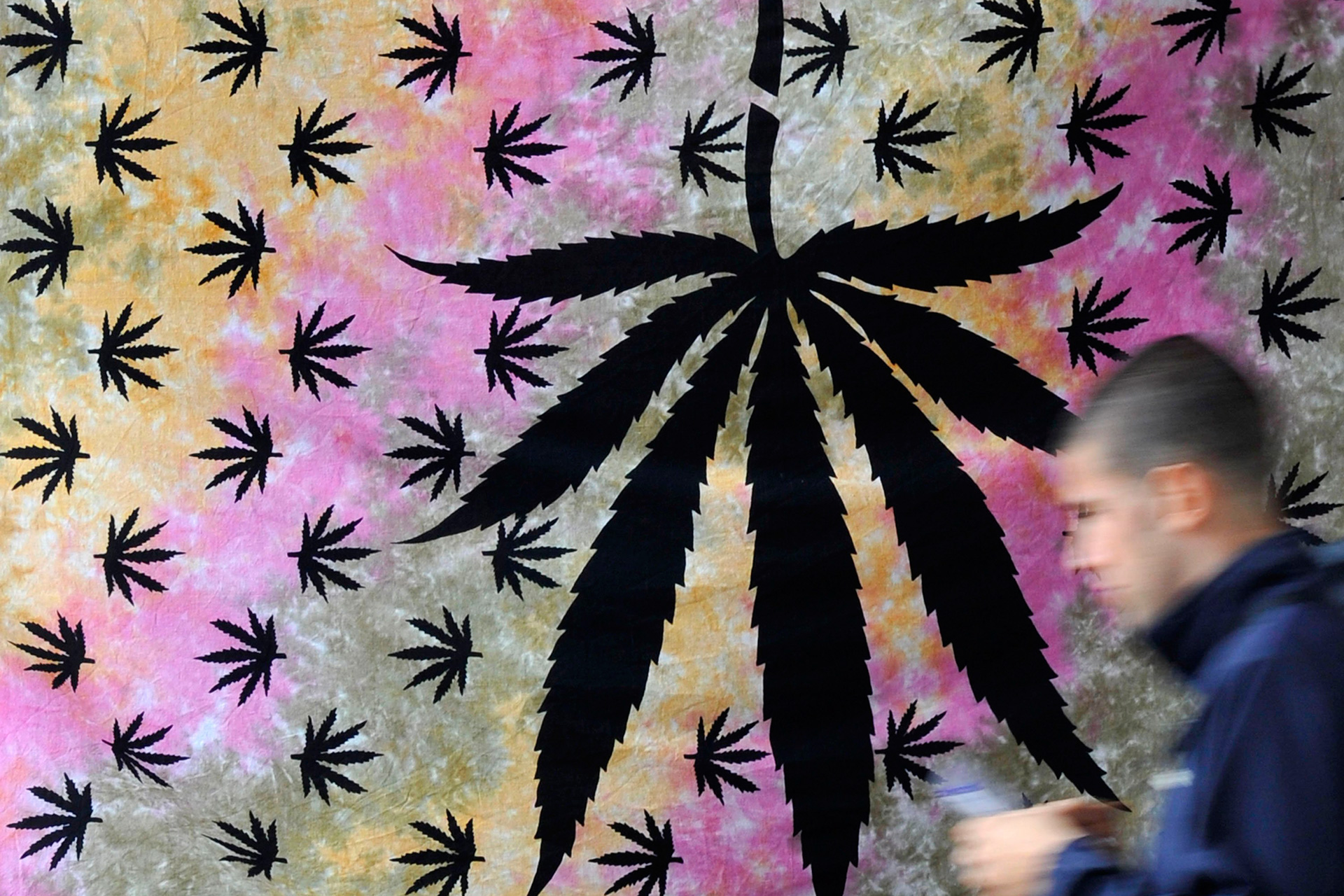 Los beneficios del cannabis sólo están contrastados en tres supuestos. (Foto: Toby Melville / Reuters)