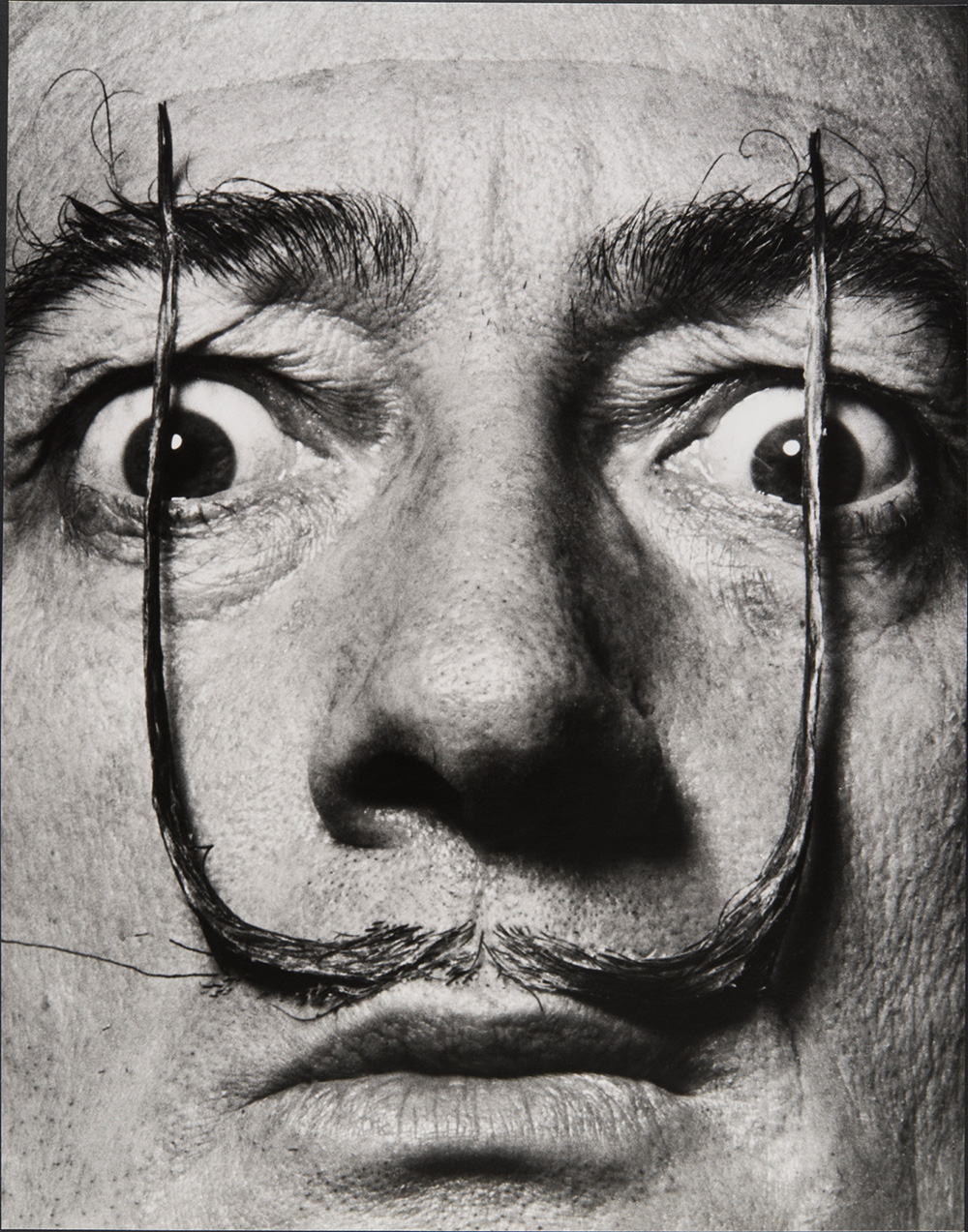 'Como dos centinelas erguidos, mi bigote custodia la entrada a mi verdadero yo', Dalí’s Mustache, 1954. (Philippe Halsman Archive / Magnum Photos)