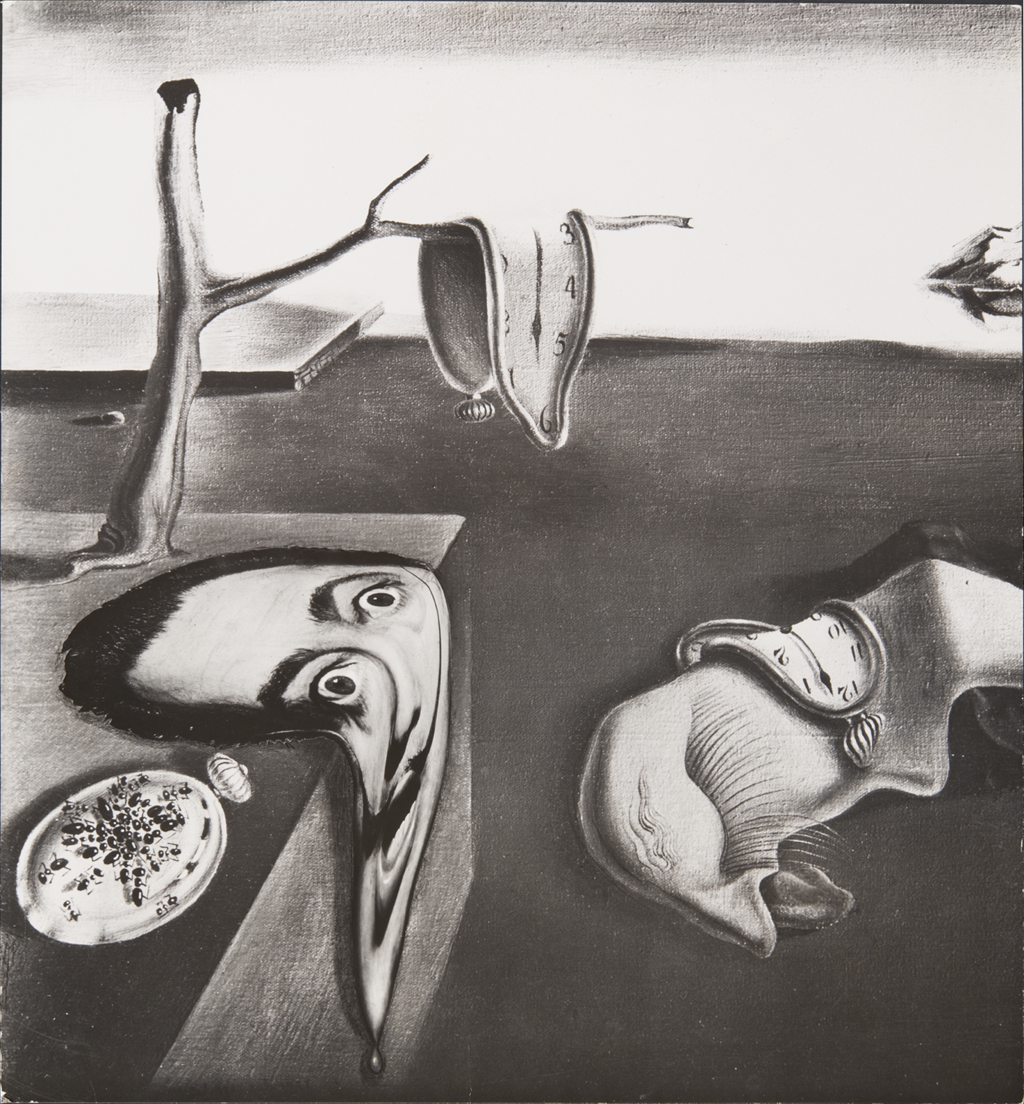 'El surrealismo soy yo', Dalí’s Mustache. 1954 | (Philippe Halsman Archive / Magnum Photos).