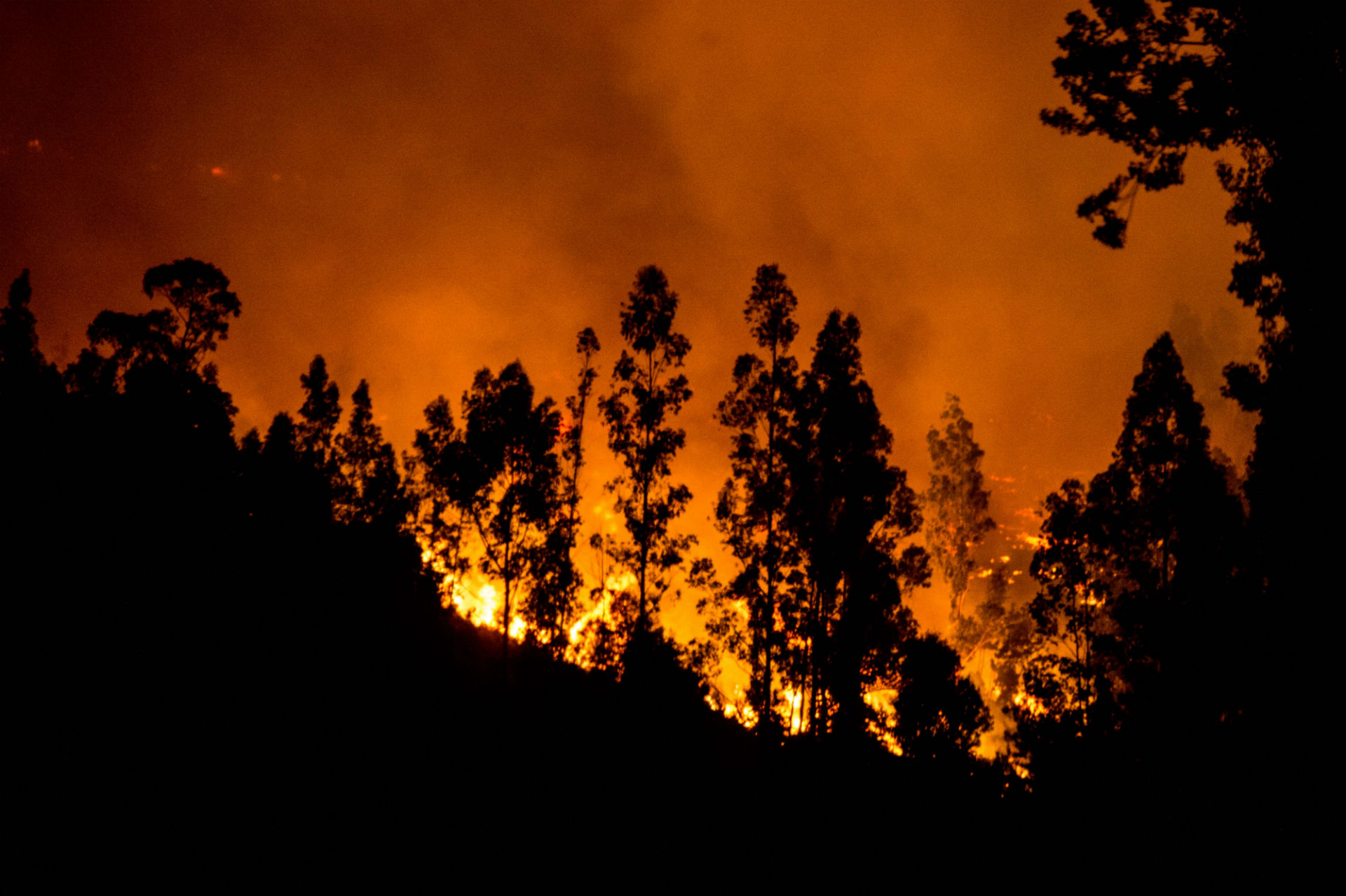 Un bombero muere en los devastadores incendios que asolan Chile