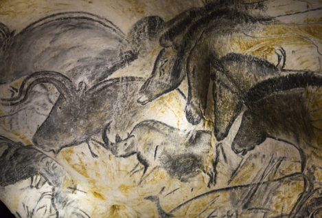 El uro o toro salvaje, extinto hace siglos, vuelve a Europa