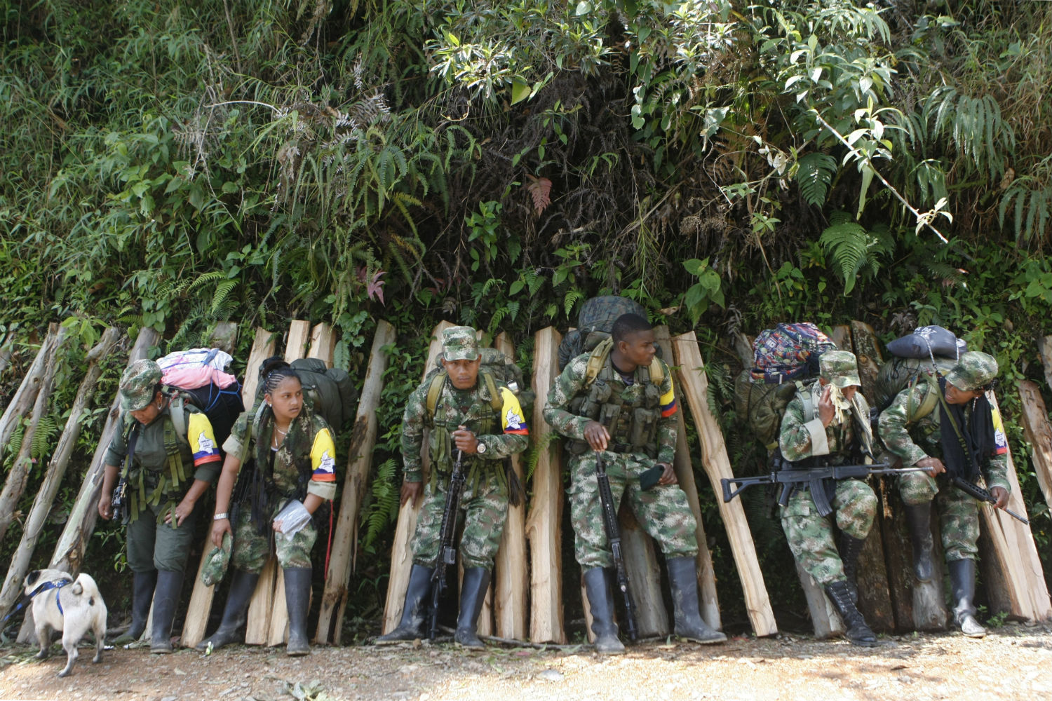 Más de 6.000 guerrilleros de las FARC abandonan las armas