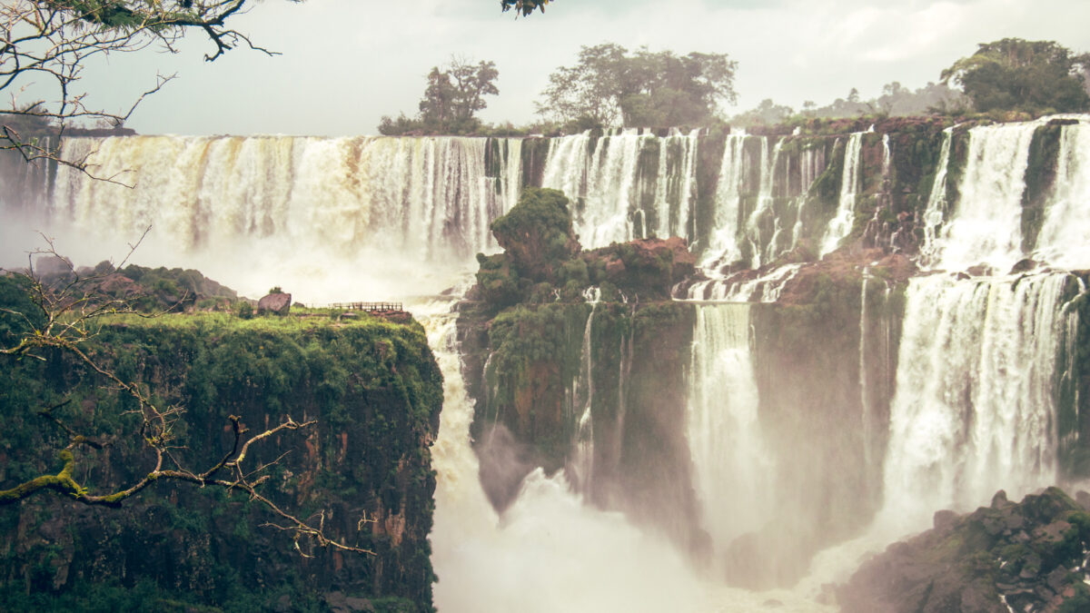 Cuentos de Horacio Quiroga para no ir a la selva