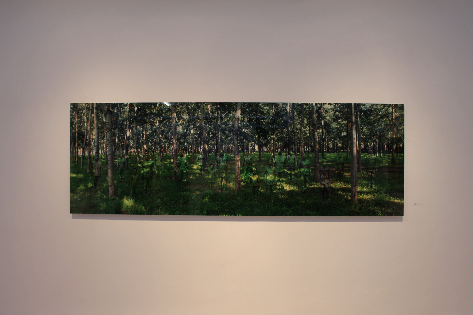 Liu Bolin: Forest, 2013. (Foto: Cecilia de la Serna / The Objective)