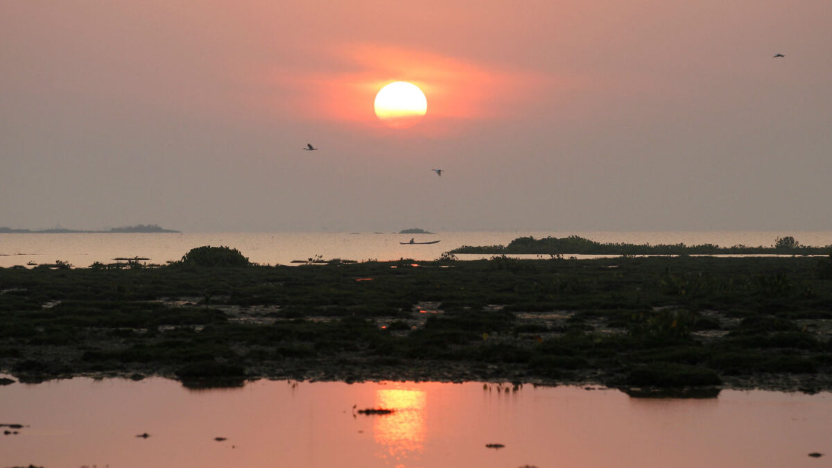 Ocho kilómetros de costa abarrotados de peces muertos en Costa Rica