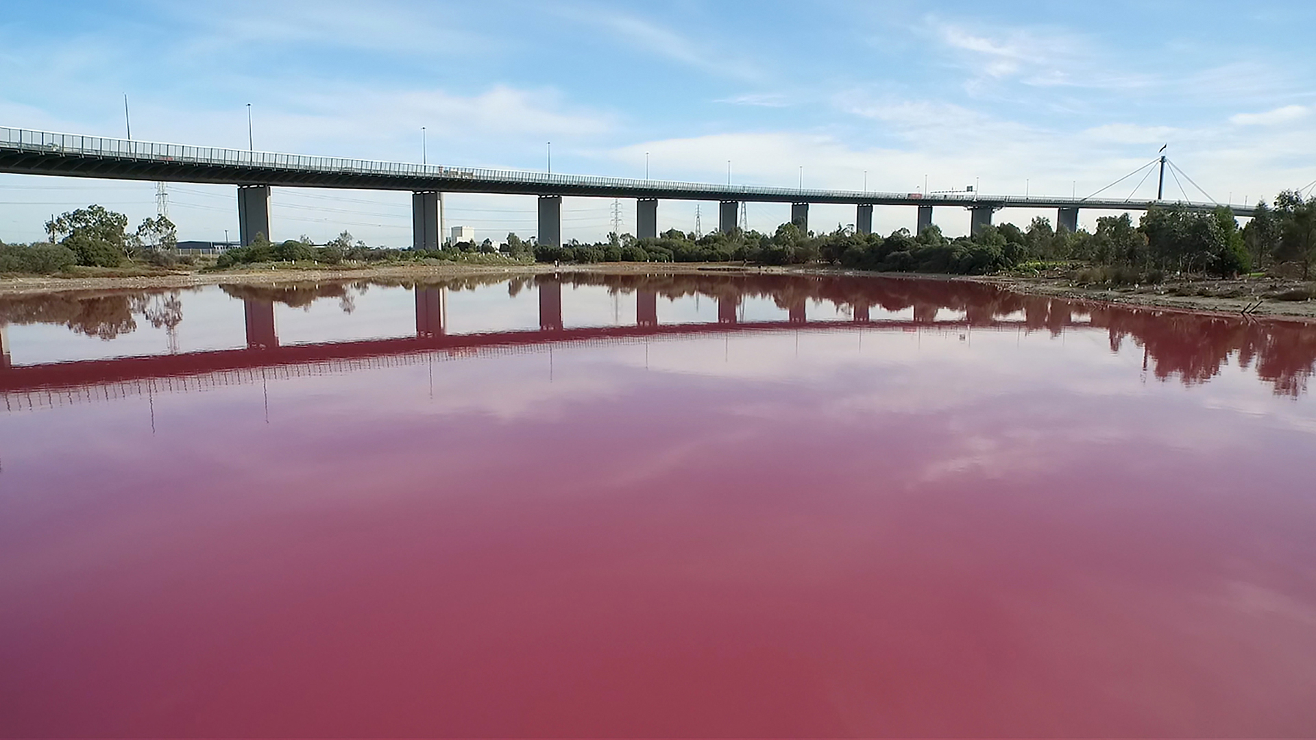 El agua de un lago de Australia aparece teñido de rosa