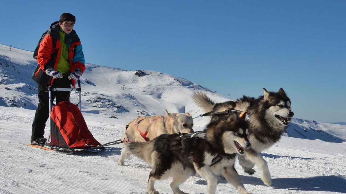 El explorador más jóven de la historia de España es amante y defensor de los perros