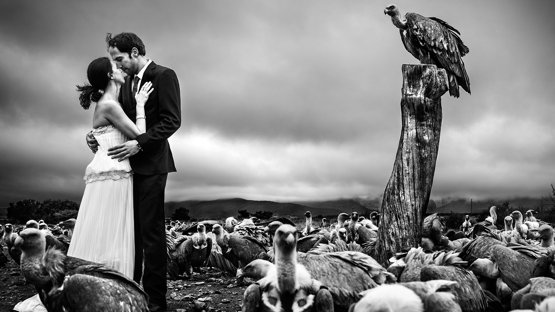 El mejor fotógrafo de bodas del mundo es aragonés 1
