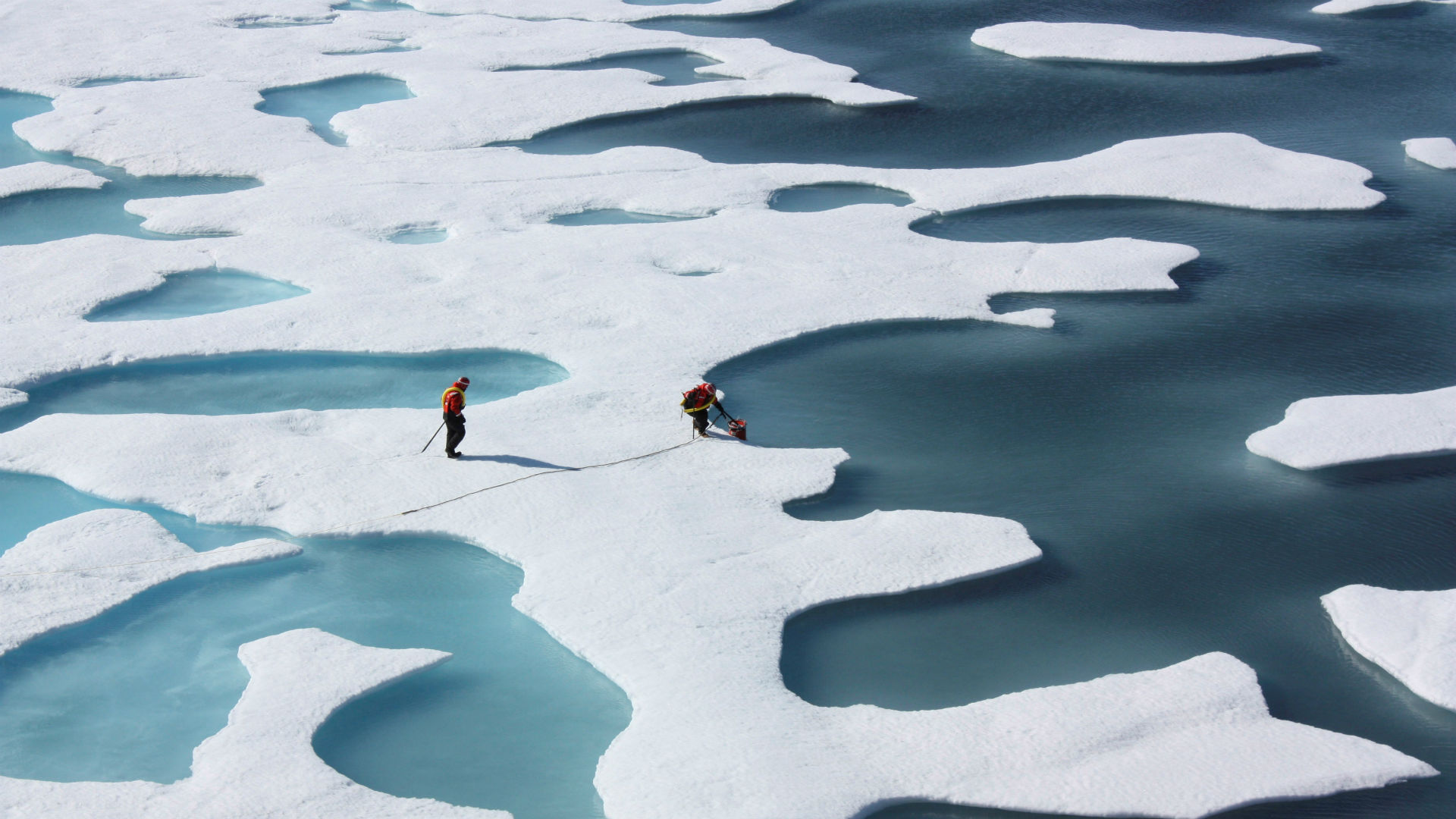 Es invierno en el Ártico y los hielos registran su menor extensión nunca antes vista