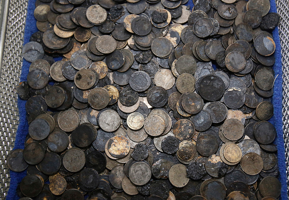 Extraen 915 monedas de una tortuga marina en Tailandia 1