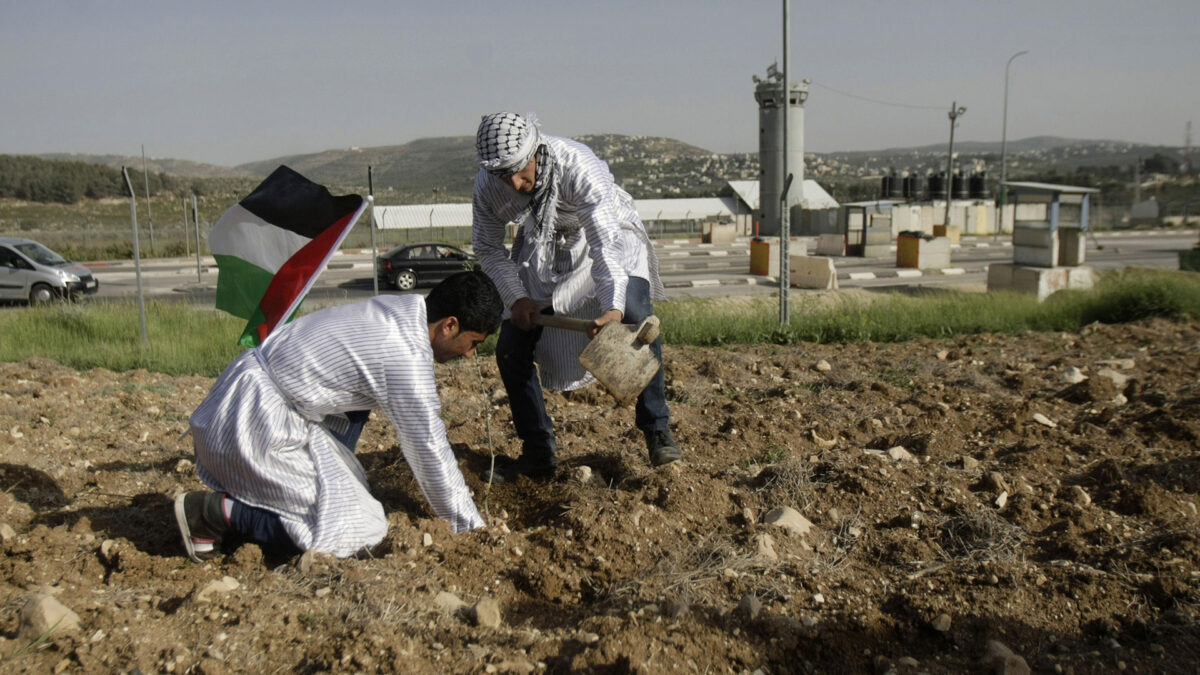 Gritos de la Tierra Palestina