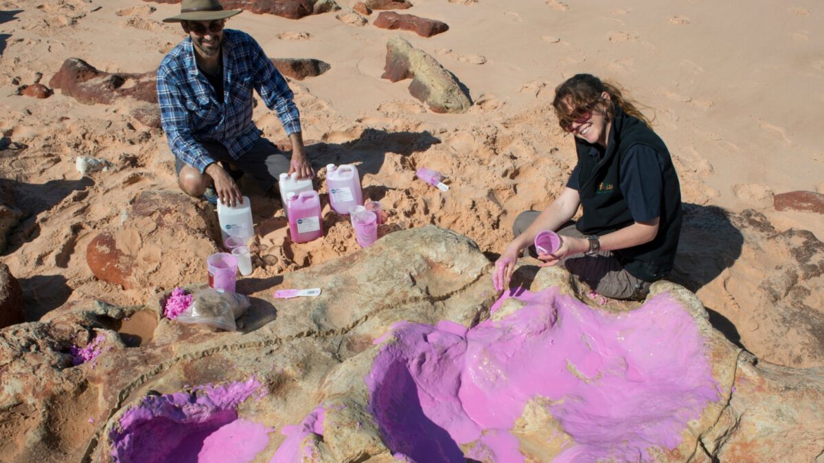 Hallados 21 tipos de huellas de dinosaurio en el ‘Parque Jurásico’ australiano