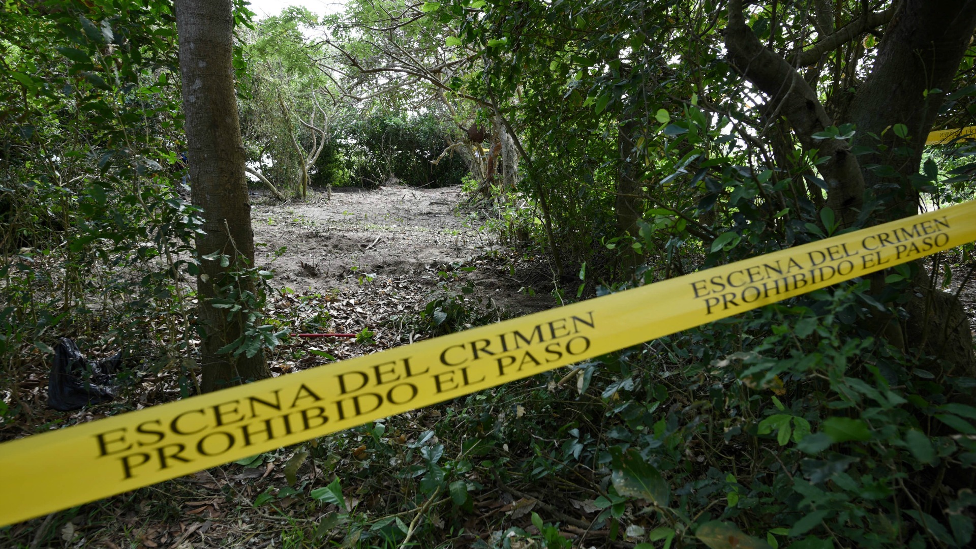 Hallados otros 47 cráneos en una fosa ilegal de los cárteles de la droga en México