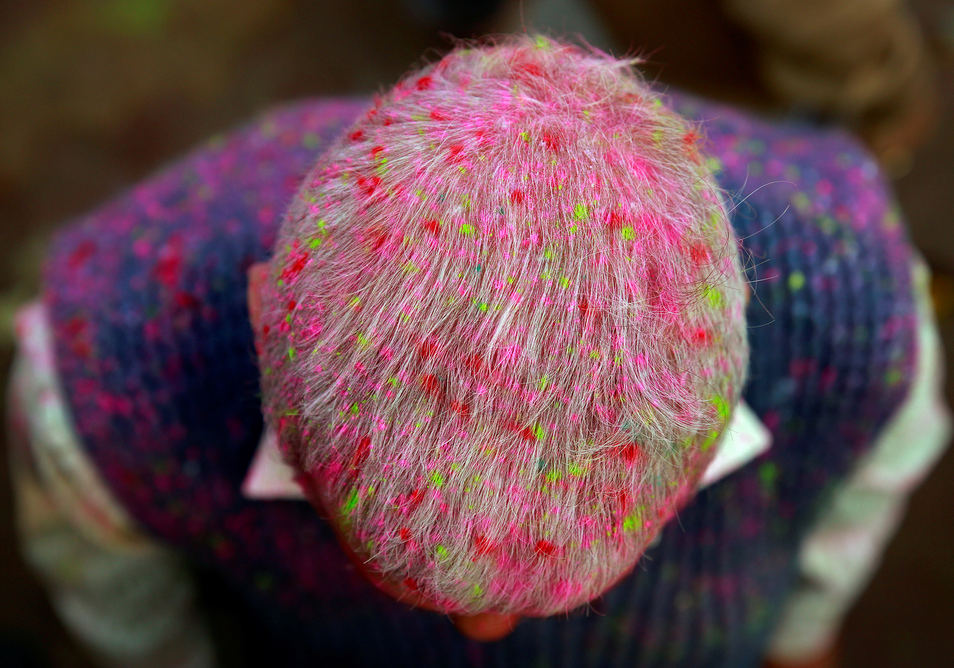 Holi Festival, las imágenes de una explosión de color
