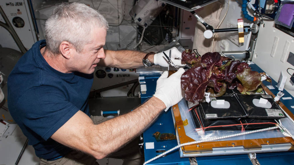 Las patatas marcianas, el nuevo reto de la NASA 2