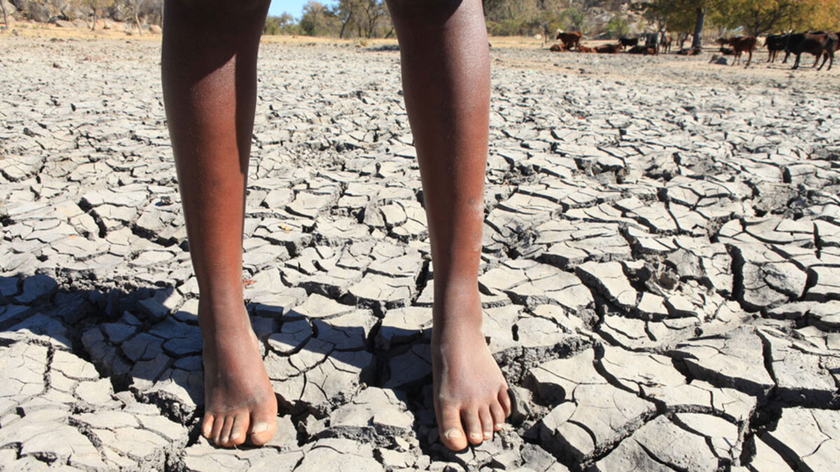 Los expertos alertan del aumento de situaciones extremas por el cambio climático