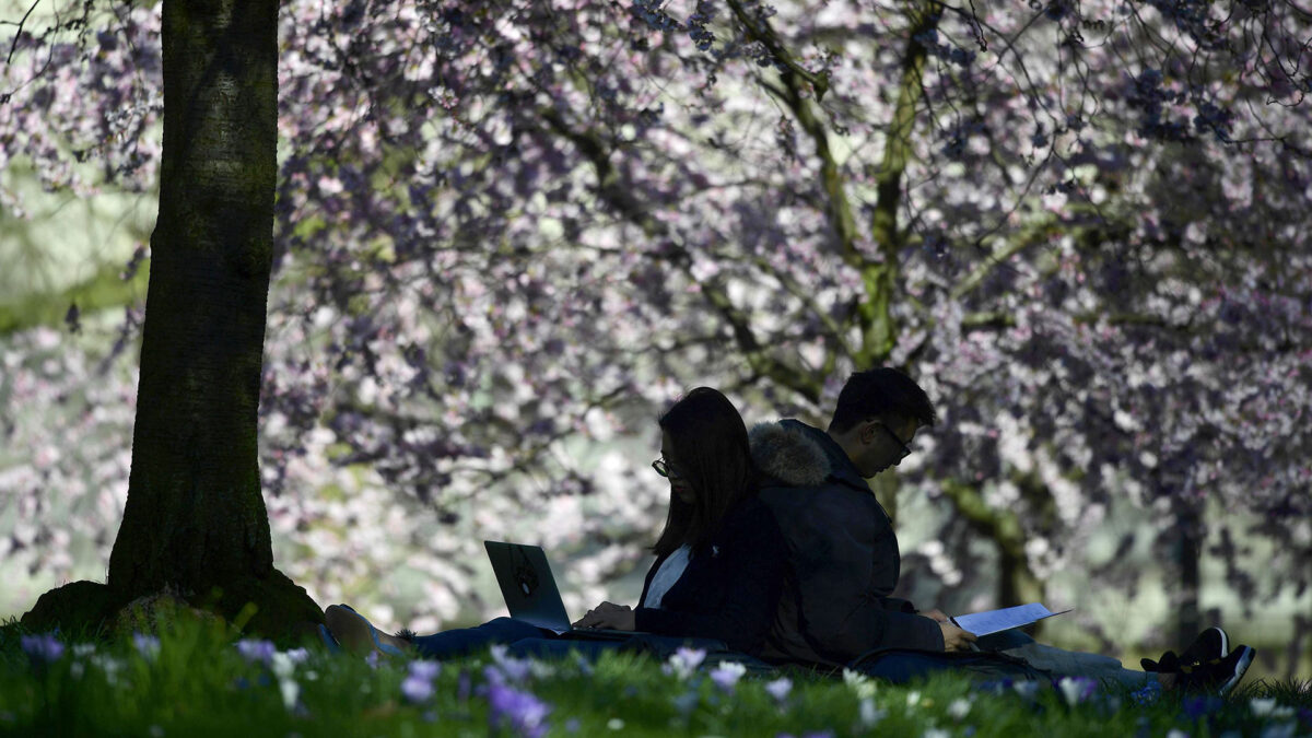 Para leer en primavera