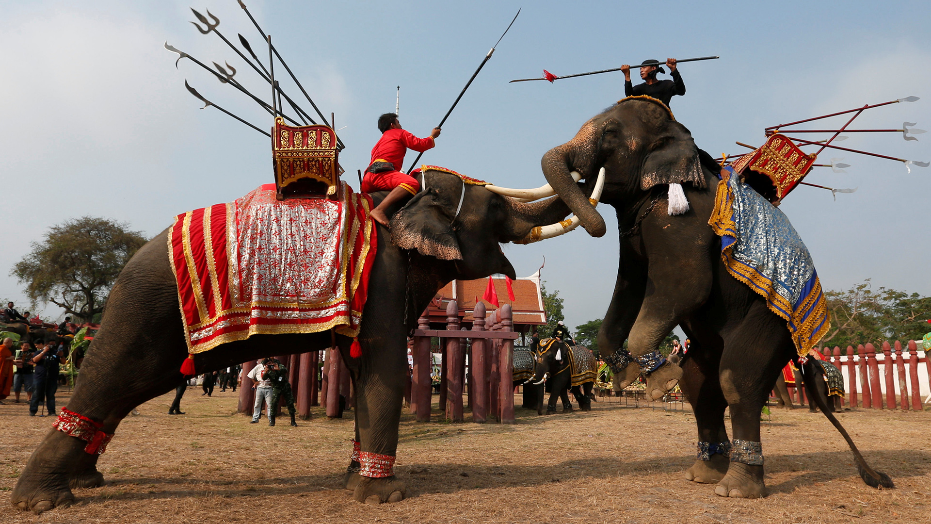 Tailandia homenajea a sus elefantes con un gran banquete 1