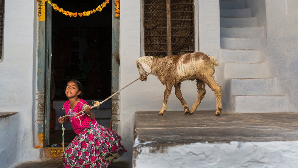 'Tierra de Sueños', la voz de la mujer de la India 1