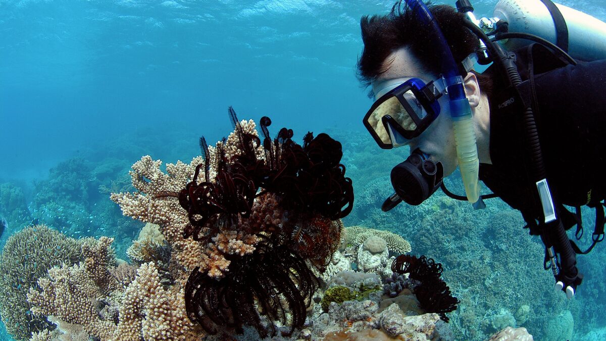 Un ciclón en Australia agrava la preocupación por la Gran Barrera de Coral