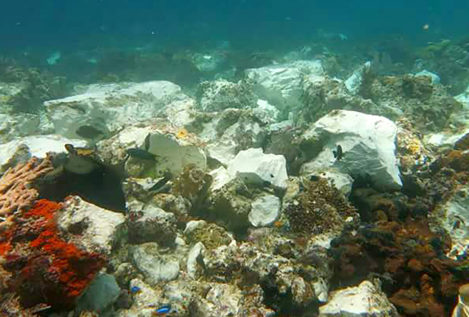 Un crucero británico daña arrecifes de coral únicos en Indonesia