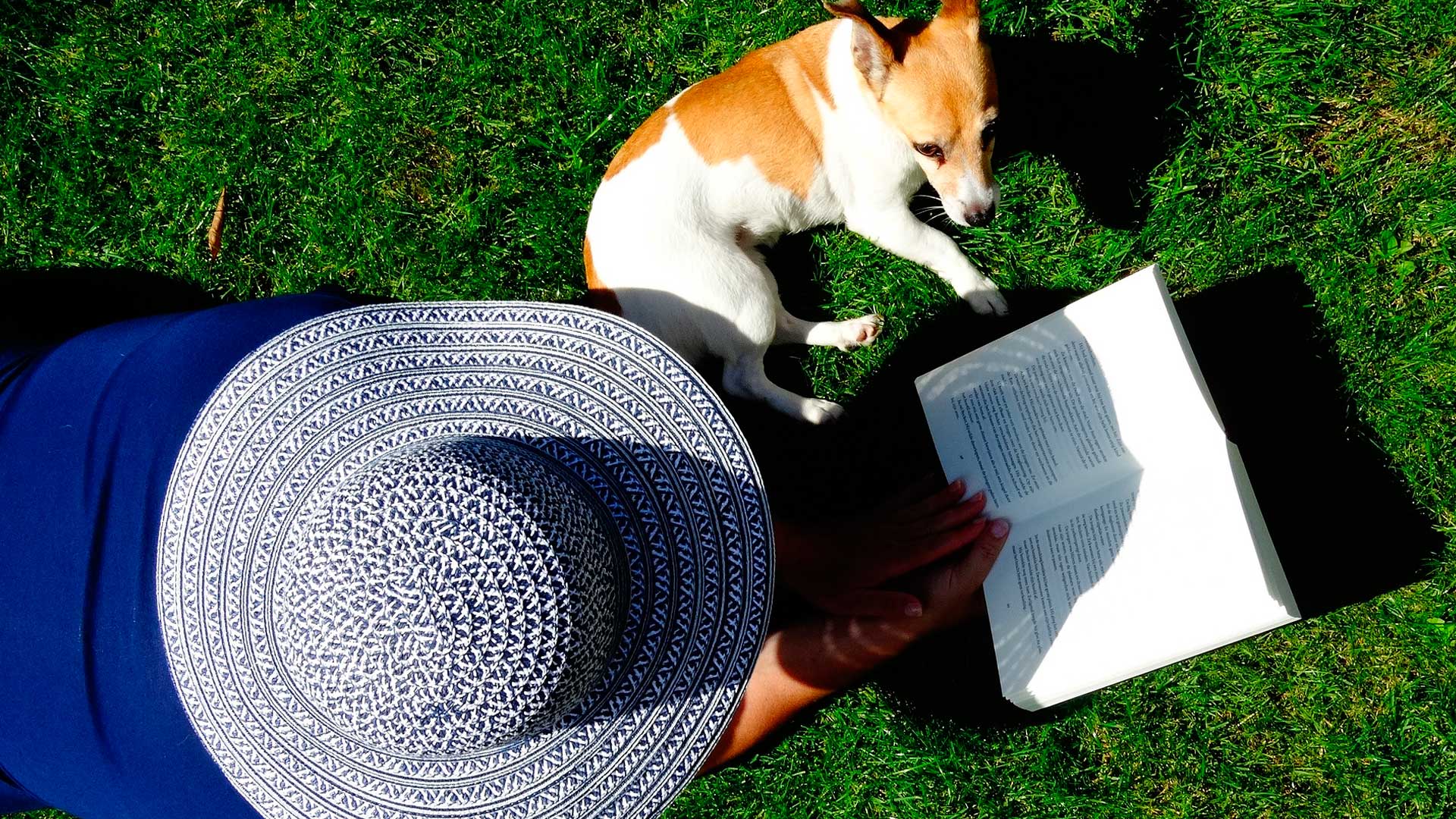 10 lecturas para celebrar el Día del Libro y aprender más sobre tu perro