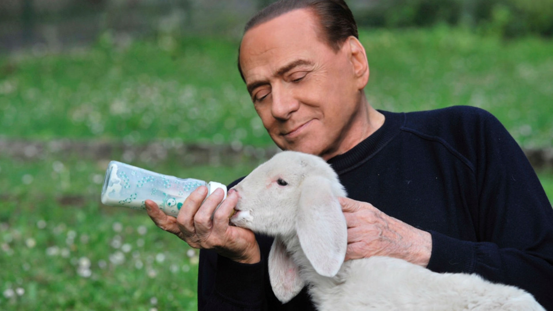 Berlusconi, el salvador de los corderos