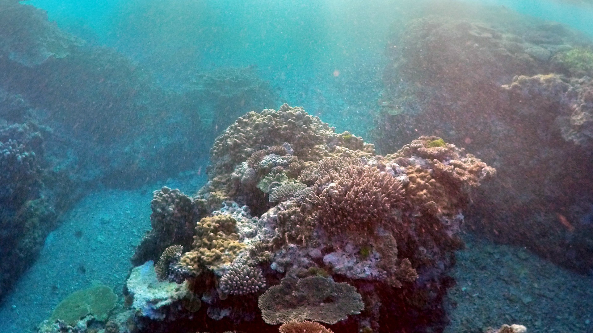 Investigadores descubren que podría existir vida más allá del fondo marino