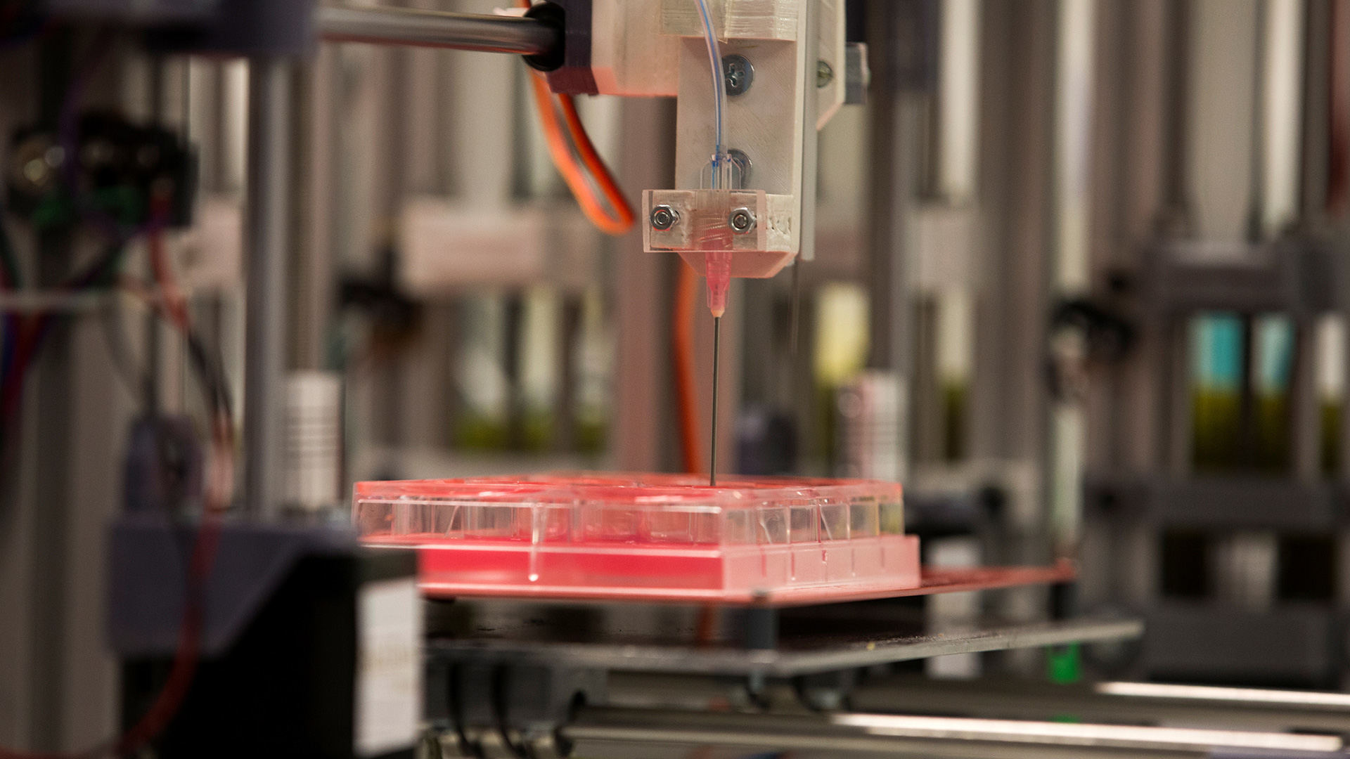 Piel humana, monumentos, pizzas y corales: las impresoras 3D moldean el futuro 2
