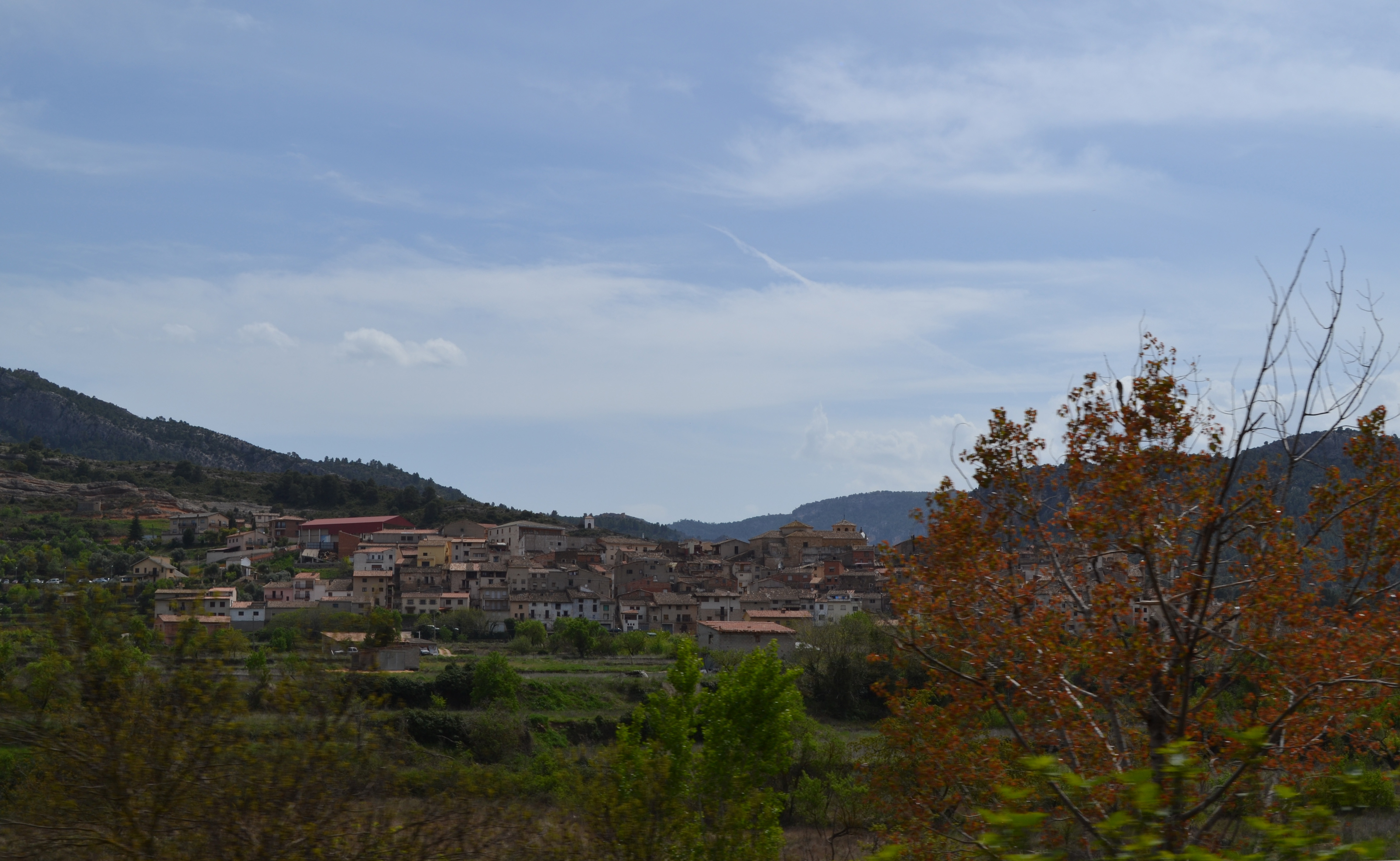 Un paseo entre los olivos de la Toscana española 4