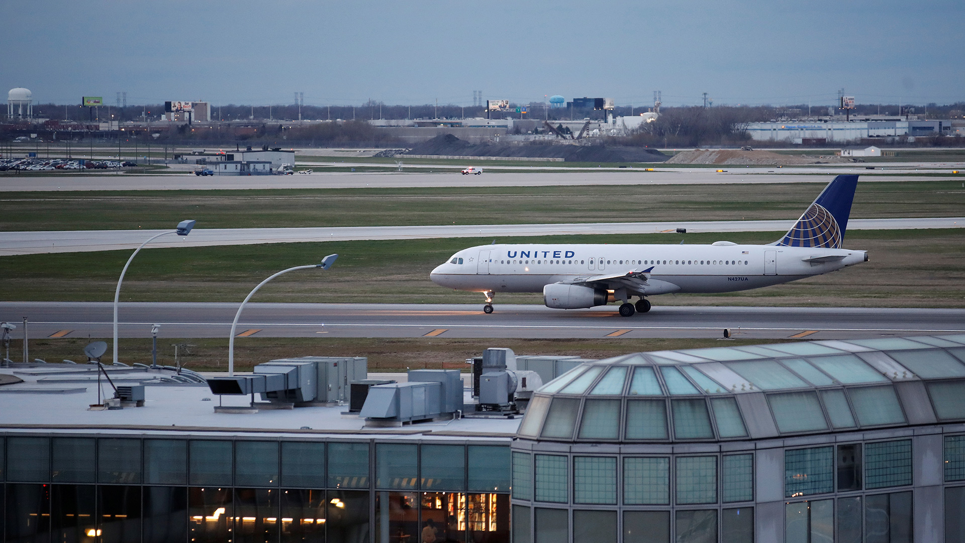 United Airlines se enfrenta a otro desastre tras la muerte de un conejo gigante en un vuelo trasatlántico