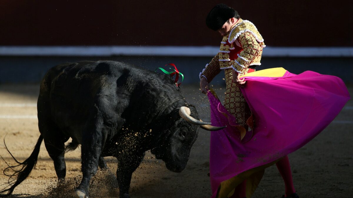 ¿A cuánto cotiza el toro?