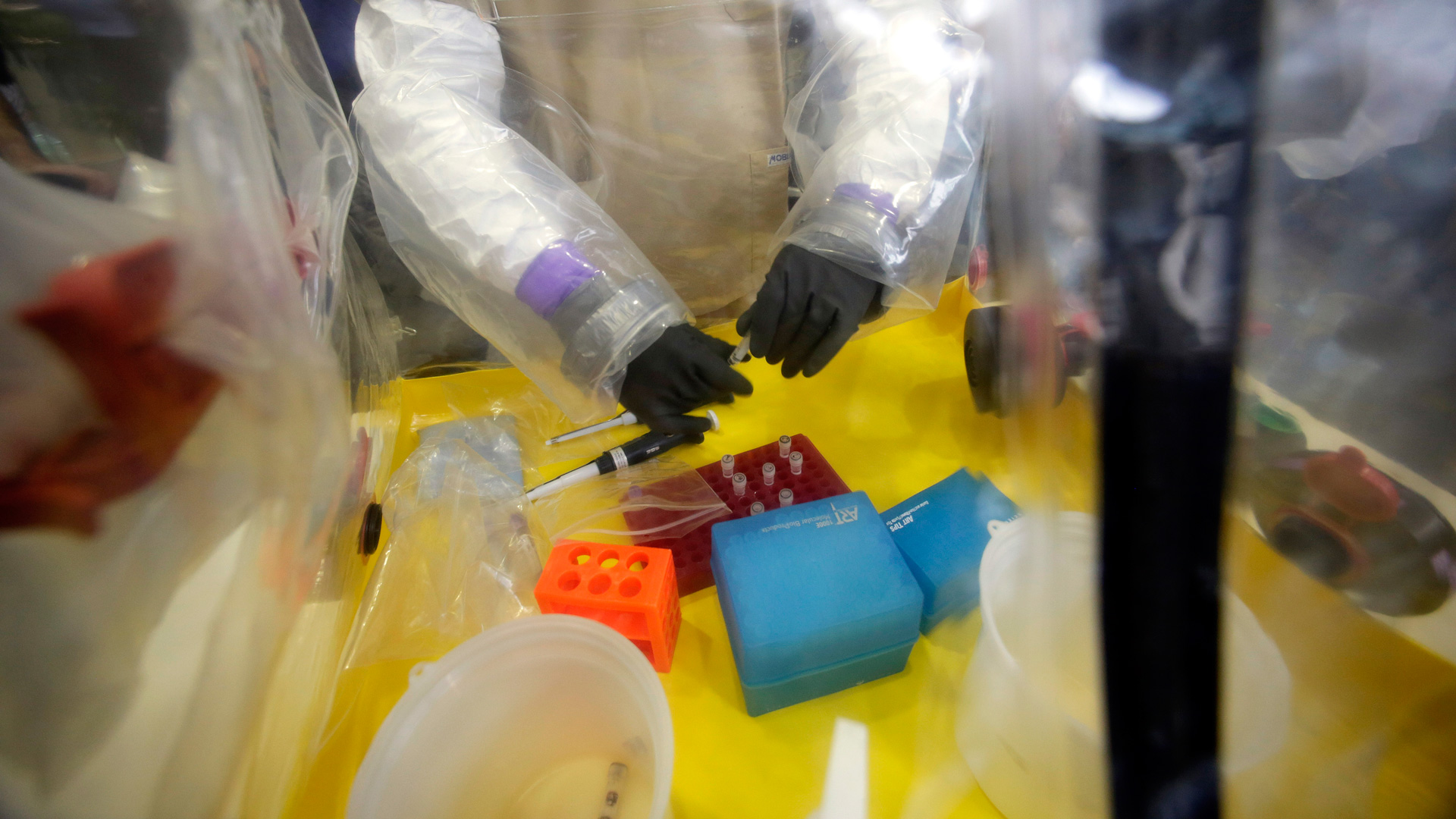 Descubierto un anticuerpo contra el virus del ébola
