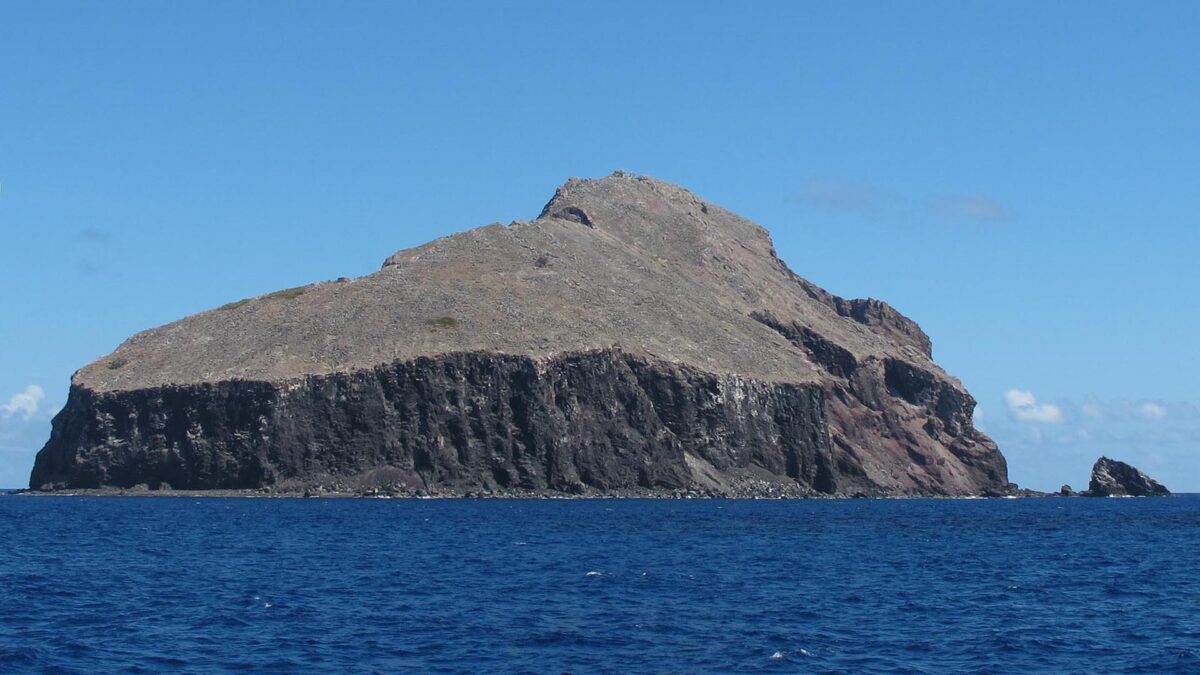 Ecologistas trasladan las cabras de una isla desierta para salvarla