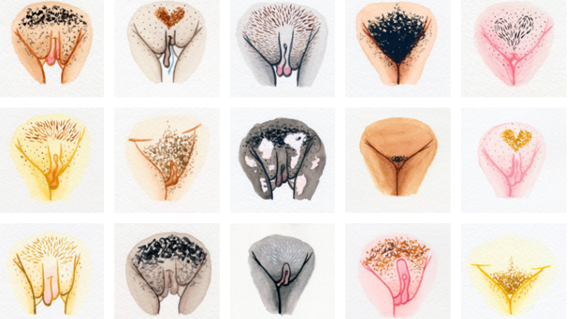 128 tipos de vulvas para acabar con los complejos y la labioplastia