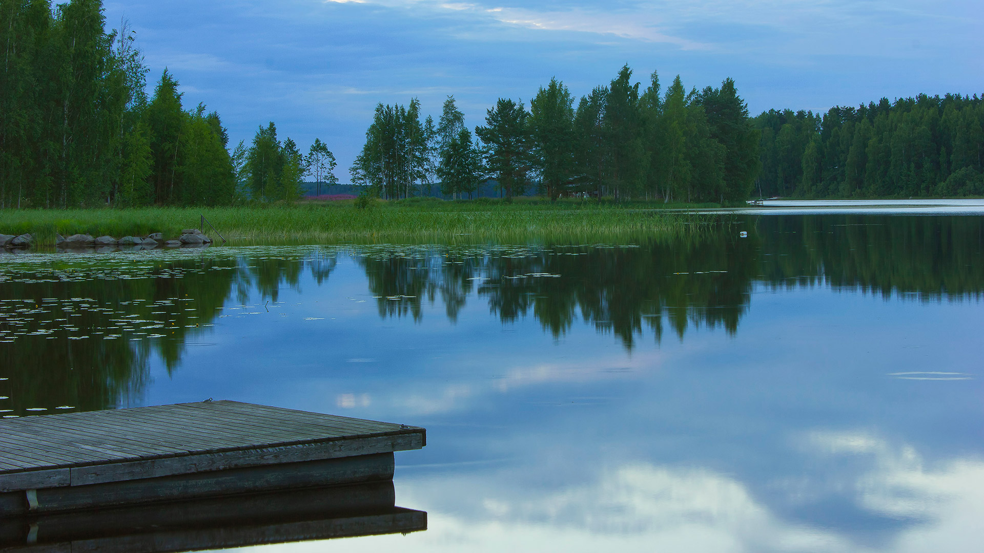 Los lagos de Finlandia están rodeados de bosques y vegetación. | Foto: Marjaana Pato/Flickr
